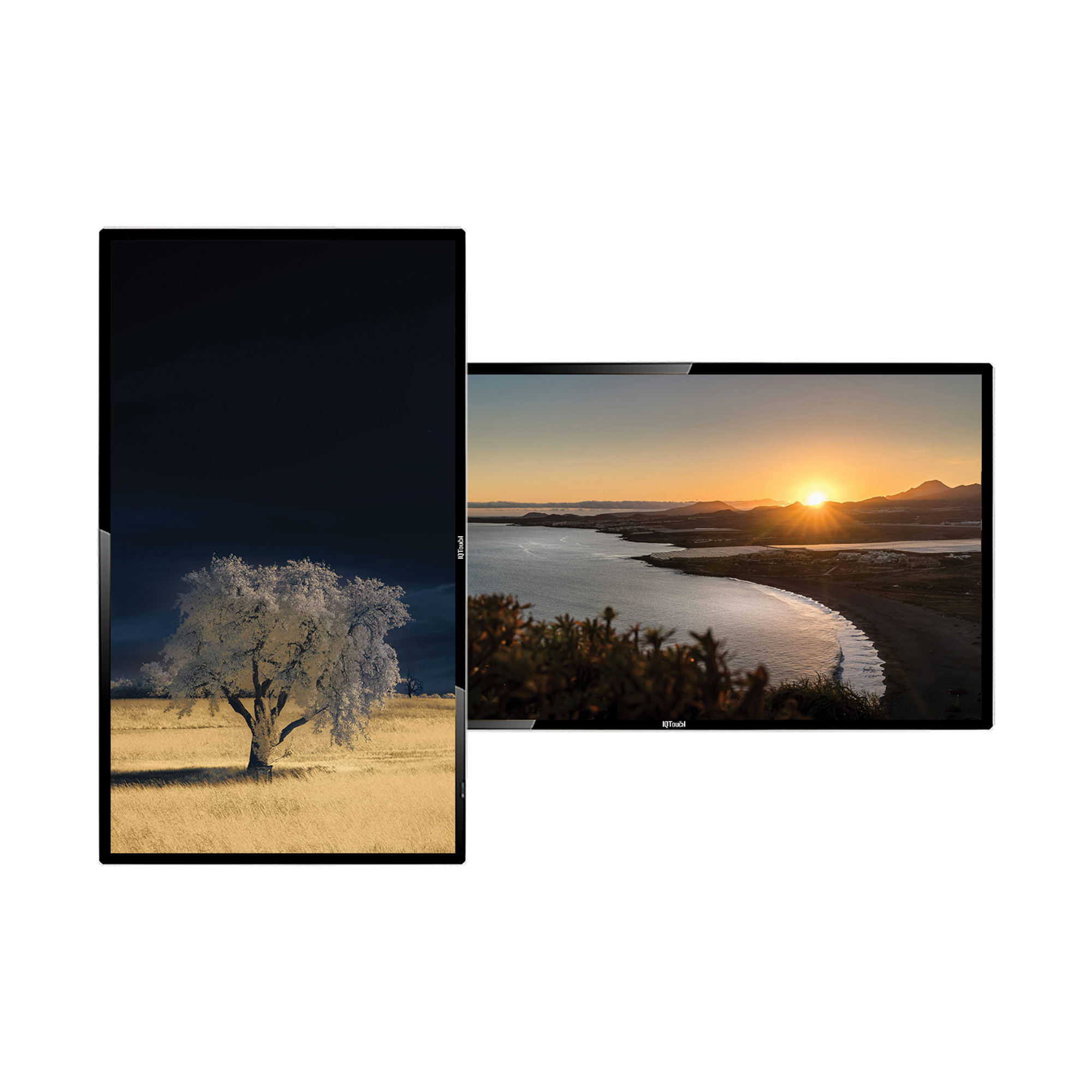 SW1 Lite Wall-mounted Digital Signage 43"